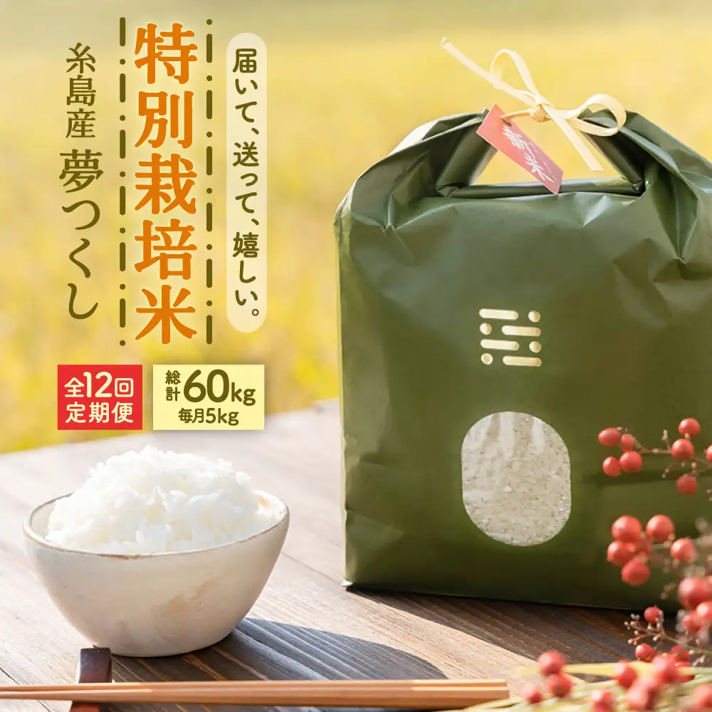 【全12回定期便】とくべつの中のとくべつ 特別栽培米 5kg 夢つくし 吉富町/(株)やました[BGBX008]