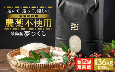 【全12回定期便】農薬を使わずに育てた 山つき 3kg 夢つくし 吉富町/(株)やました[BGBX012]