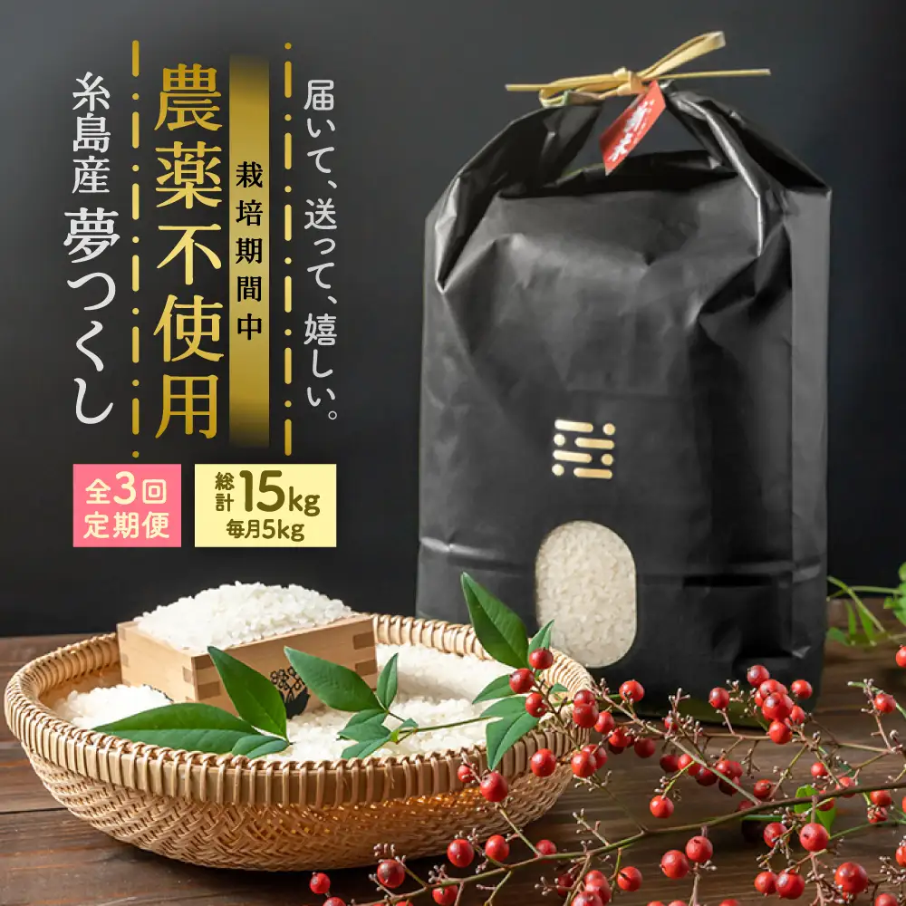 【全3回定期便】農薬を使わずに育てた 山つき 5kg 夢つくし 吉富町/(株)やました[BGBX014]