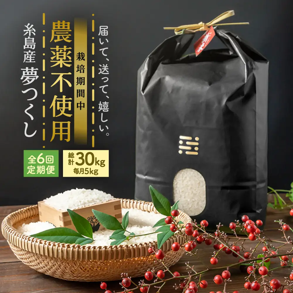 【全6回定期便】農薬を使わずに育てた 山つき 5kg 夢つくし 吉富町/(株)やました[BGBX015]