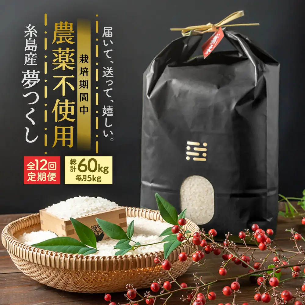 【全12回定期便】農薬を使わずに育てた 山つき 5kg 夢つくし 吉富町/(株)やました[BGBX016]