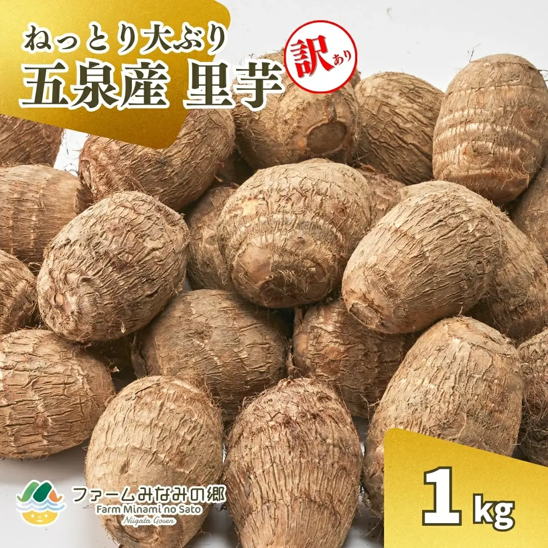 【令和8年産先行予約】五泉産【訳アリ】大玉さといも（2L以上）1kg | 新潟県 里芋
