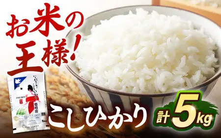 壱岐産米 こしひかり 5kg [JDW061] コシヒカリ 米