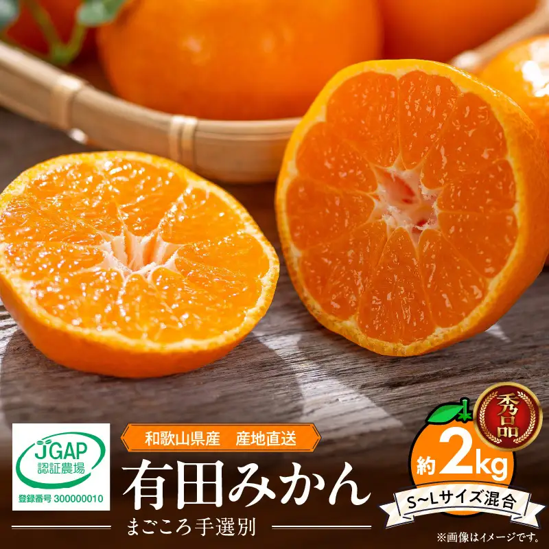 【2026年先行予約】【秀品】和歌山県産　有田みかん 約2kg （S～Ｌサイズ混合）【まごころ手選別】_ZE6418