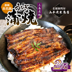 【2026年9月～順次発送】 うなぎ蒲焼 2人前 2尾 冷蔵 三島名物 老舗 鰻問屋 うなぎ 蒲焼き 鰻 ウナギ 真空パック 浜名湖 土用丑の日 贈答用 惣菜 うな重 うな丼 伝統 贈り物 鰻料理 ウナギの蒲焼 和食 浜名湖うなぎ 山本実生商店 三島市 静岡県