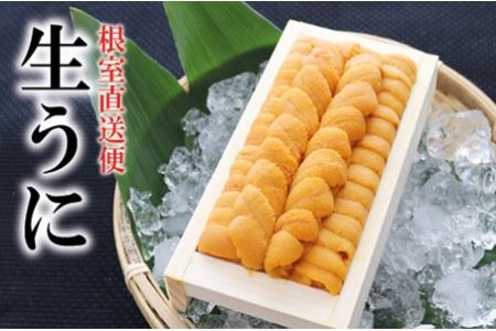 エゾバフンウニ130g×1折[11月中旬以降発送] B-71019