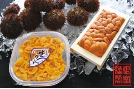 エゾバフンウニ100g×1折・塩水パック100g×1P[11月中旬以降発送] F-71002