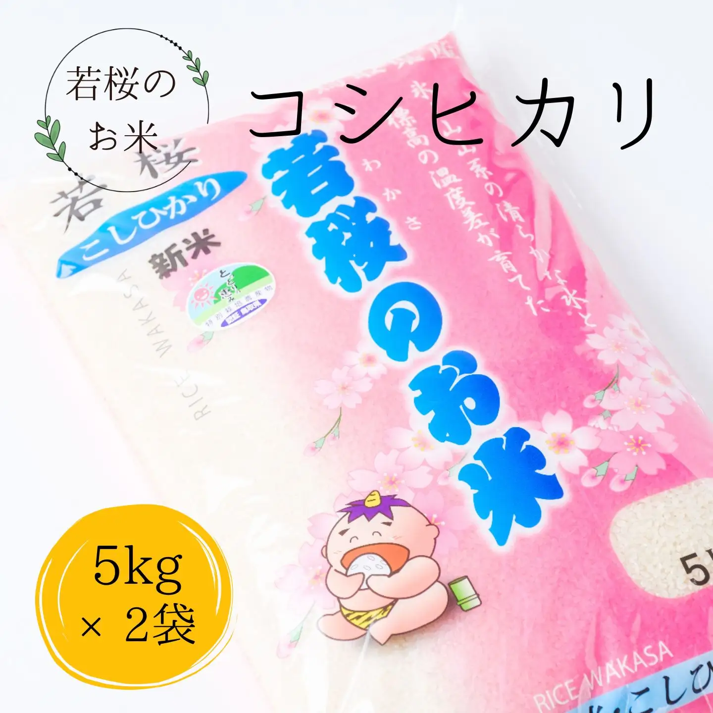 特別栽培米　若桜（わかさ）のお米　コシヒカリ　10kg [363]