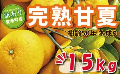数量限定 先行予約 訳あり 木成り 完熟 甘夏 15kg 10000円 樹齢 50年 みかん あまなつ 夏みかん グレープフルーツ だいだい 家庭用 事前 予約 受付 産地直送 国産 農家直送 糖度 果樹園 期間限定 特産品 ゼリー マーマレード ピール ジュース デザート 等に 人気 甘い おいしい フルーツ 果物 柑橘 蜜柑 規格外 減農薬 あいなん総合ファクトリー 愛南町 愛媛県