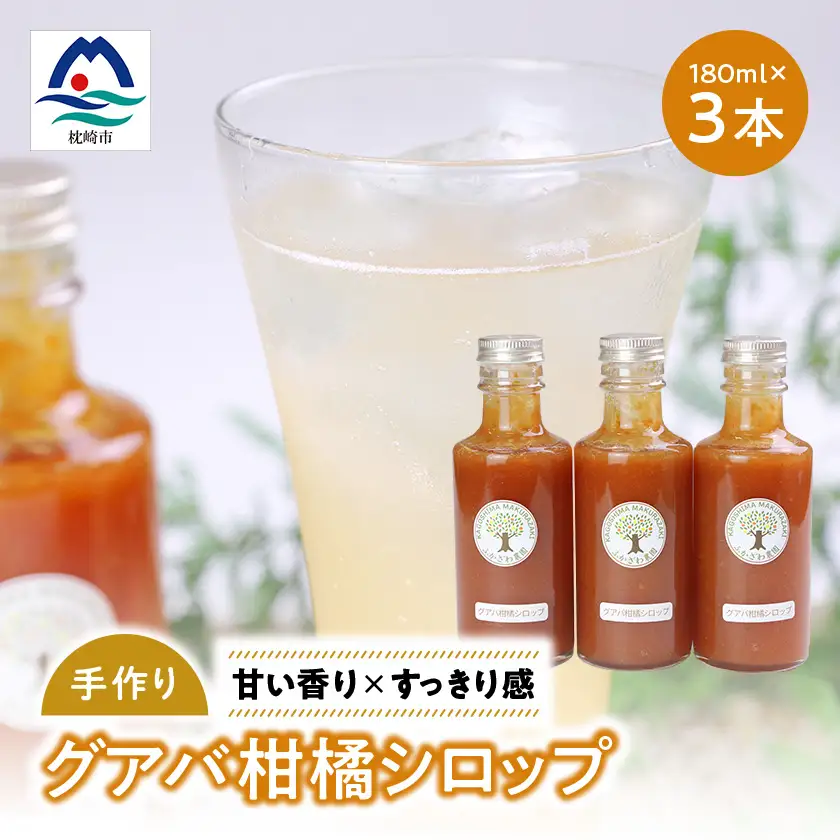 南国グアバとすっきり柑橘の爽やかカクテルシロップ 【グアバ柑橘シロップ】 A3-385【配送不可地域：離島】【1695315】