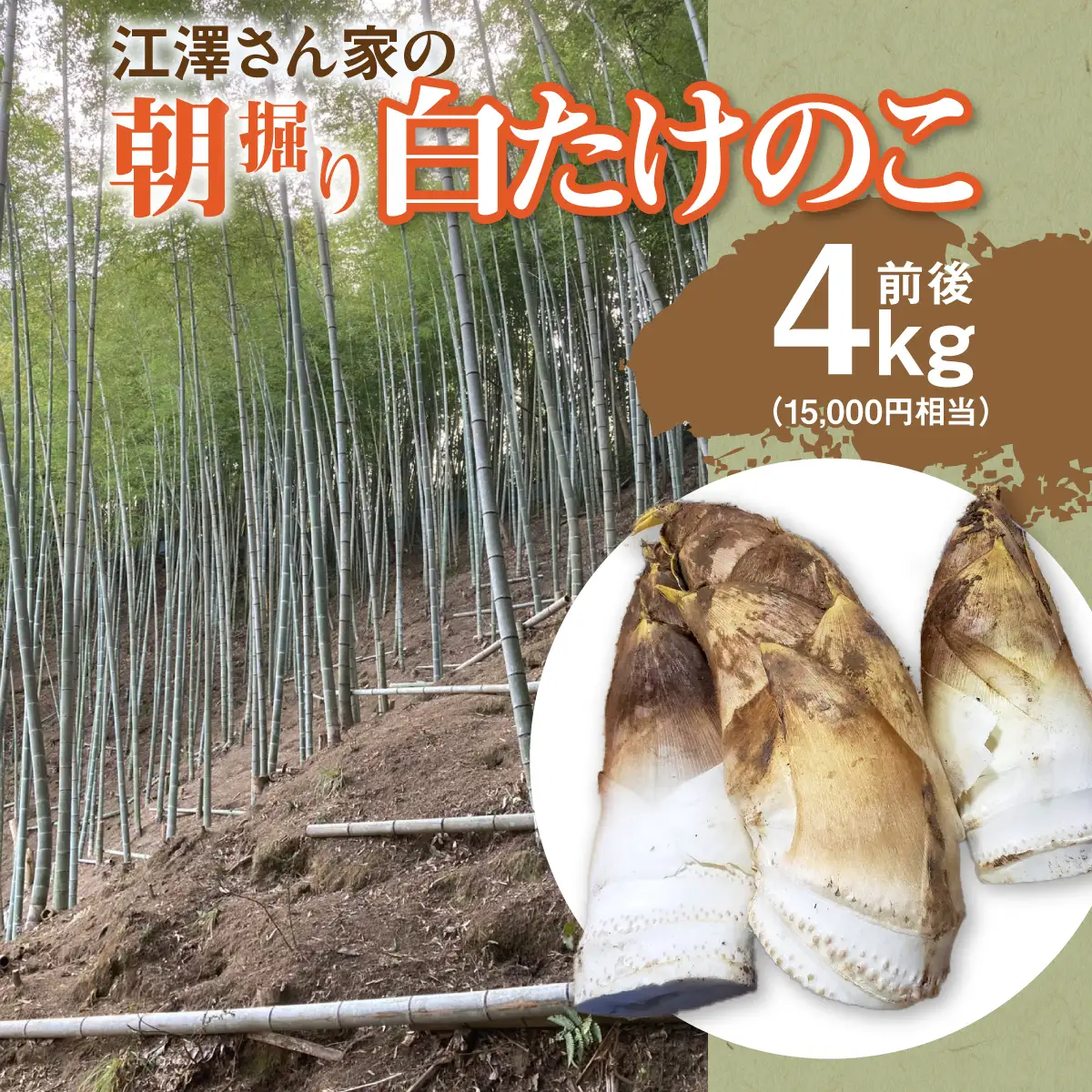 【2027年先行予約】江澤さん家の朝掘り白たけのこ W05402