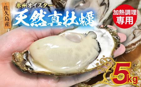 佐久島産天然真牡蠣 参州オイスター 5kg ≪配達不可エリア：北海道・沖縄・離島・東北・九州≫・E031-510