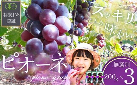 【ぶどう】 先行予約 ぶどうの粒 無選別 200g 3パック [2026年産] 