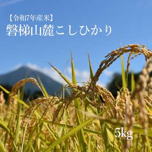 【数量限定】令和7年産コシヒカリ　5kg　磐梯山麓こしひかり　精米　