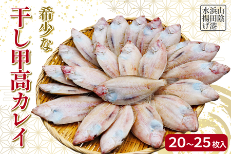 【先行予約】山陰浜田港水揚げ　希少な干し甲高カレイ（卵入り） 魚介 干物 一夜干し おつまみ おかず カレイ 【019_1956】