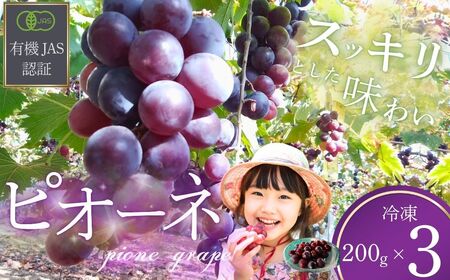 ぶどう 【先行予約】 冷凍 ぶどう 200g×3パック 2026年産