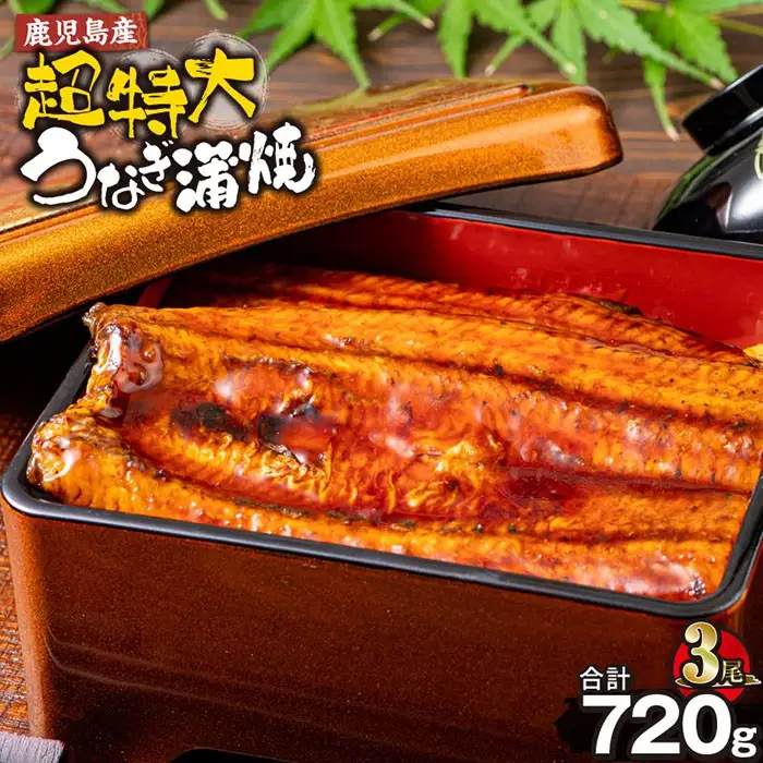 鹿児島産 超特大 うなぎ蒲焼 (無頭) (計720g以上・240g以上×3尾) 鰻 蒲焼き 真空パック【株式会社財宝】A1043