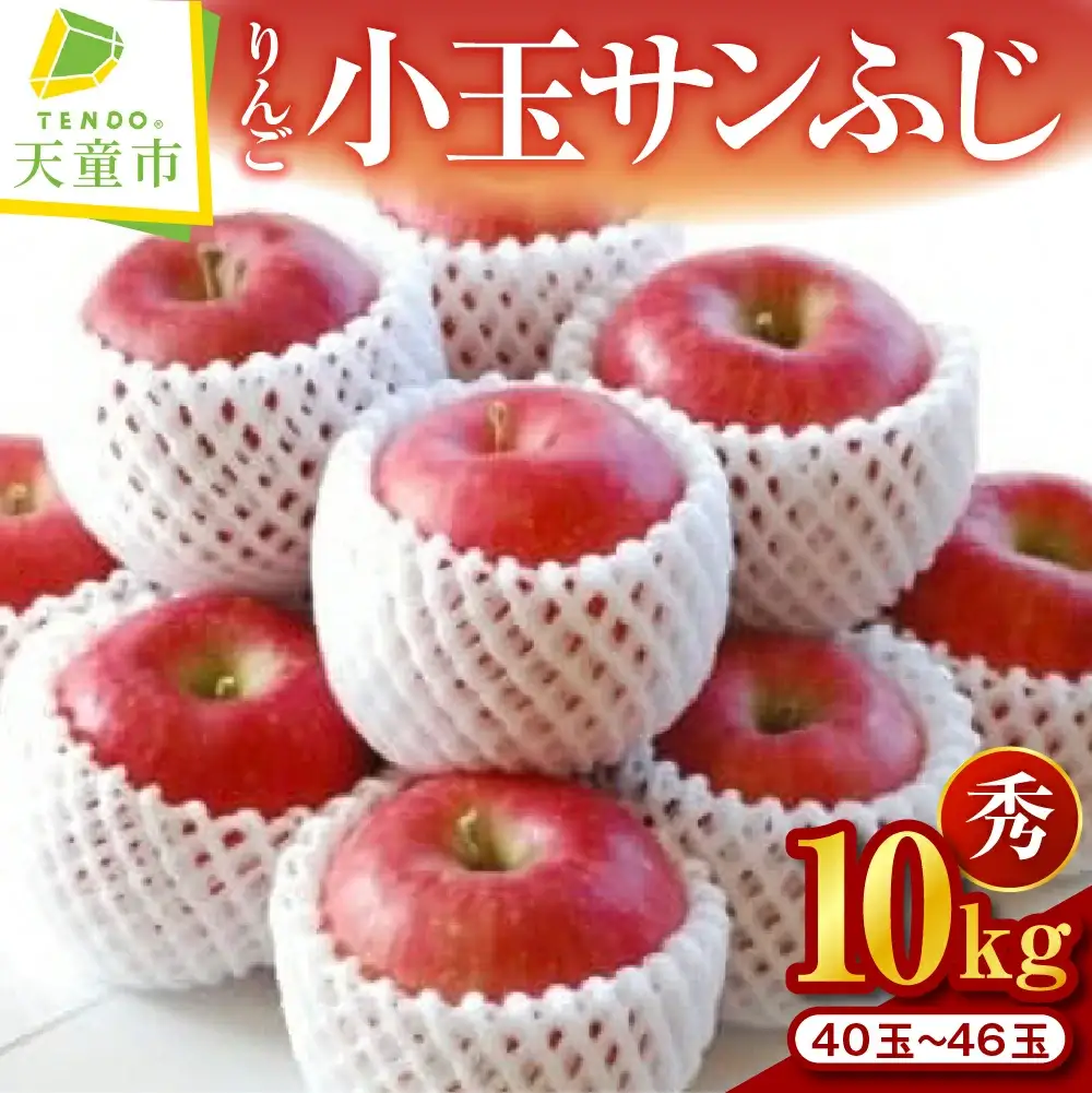 りんご 小玉 サンふじ 10kg  山形 果物 リンゴ