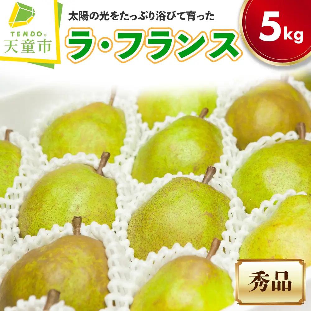 ラ・フランス 5kg 山形 洋梨 ラフランス