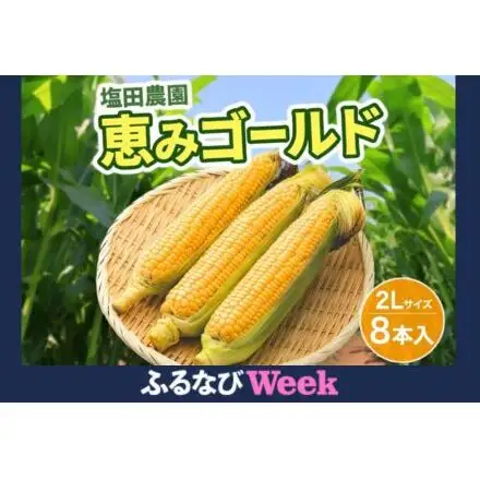 【ふるなびWEEK対象】北海道産 とうもろこし 恵味 ゴールド 2L 8本 8月中旬～9月下旬頃お届け 朝採り 恵味 めぐみトウモロコシ スイート コーン 甘い 新鮮 先行受付 夏 野菜 産地直送 塩田農園 送料無料 北海道 洞爺湖町