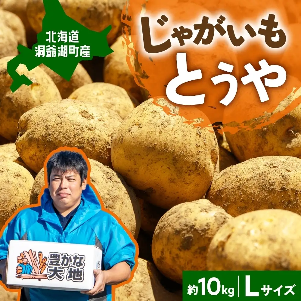 北海道産 青野農園 じゃがいも とうや Lサイズ 約10kg 2026年10月初旬～12月下旬頃お届け