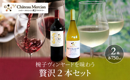 ワイン 椀子ヴィンヤードを味わう贅沢赤白セット 赤 白 お酒 ワイン
