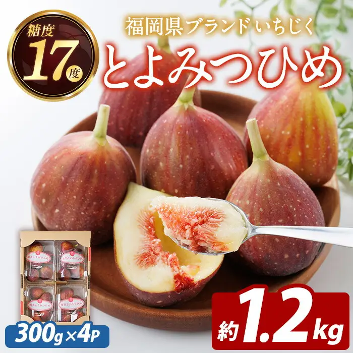 ＜先行予約受付中！2026年8月下旬～10月下旬に順次発送予定＞福岡県ブランドいちじく とよみつひめ (計約1.2kg・300g×4P) いちじく イチジク 無花果 生 国産 フルーツ 果物 くだもの オリジナルブランド デザート 期間限定 【農産物直売所ほたるの里】as52-030