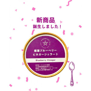 【復興支援】フローズンブルーベリー＆ビネガージェラートセット