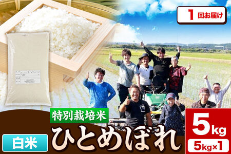 令和7年産【白米】特別栽培米 ひとめぼれ 5kg 秋田県産