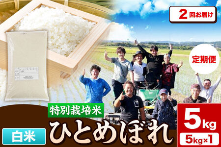《定期便2ヶ月》令和7年産【白米】特別栽培米 ひとめぼれ 5kg 秋田県産