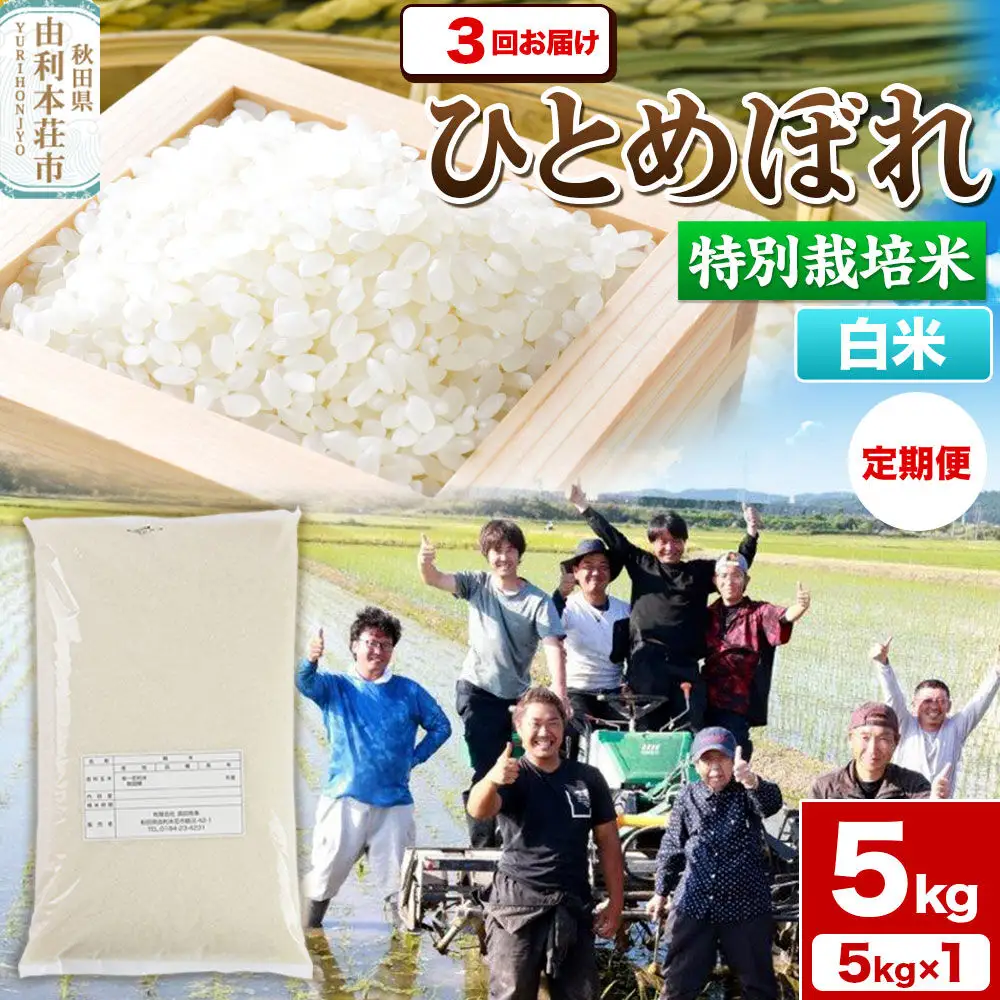 《定期便3ヶ月》令和7年産【白米】特別栽培米 ひとめぼれ 5kg 秋田県産