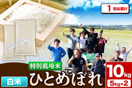 令和7年産【白米】特別栽培米 ひとめぼれ 10kg（5kg×2袋）秋田県産