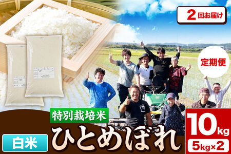 《定期便2ヶ月》令和7年産【白米】特別栽培米 ひとめぼれ 10kg（5kg×2袋）秋田県産
