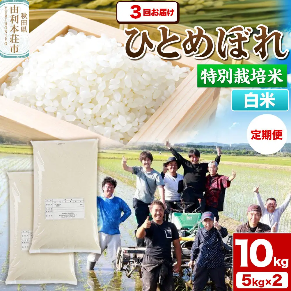 《定期便3ヶ月》令和7年産【白米】特別栽培米 ひとめぼれ 10kg（5kg×2袋）秋田県産
