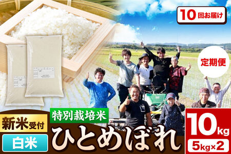 《新米予約》《定期便10ヶ月》令和8年産【白米】特別栽培米 ひとめぼれ 10kg（5kg×2袋）秋田県産 [ひとめぼれ 米 お米 白米 精米 特別栽培米 ブランド米 食卓 秋田県産 秋田県 由利本荘市]