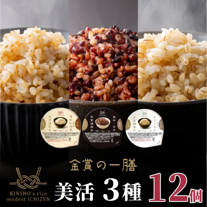 【金賞の一膳 美活3種】玄米 もち麦 12個 ご飯パック 食べ比べ