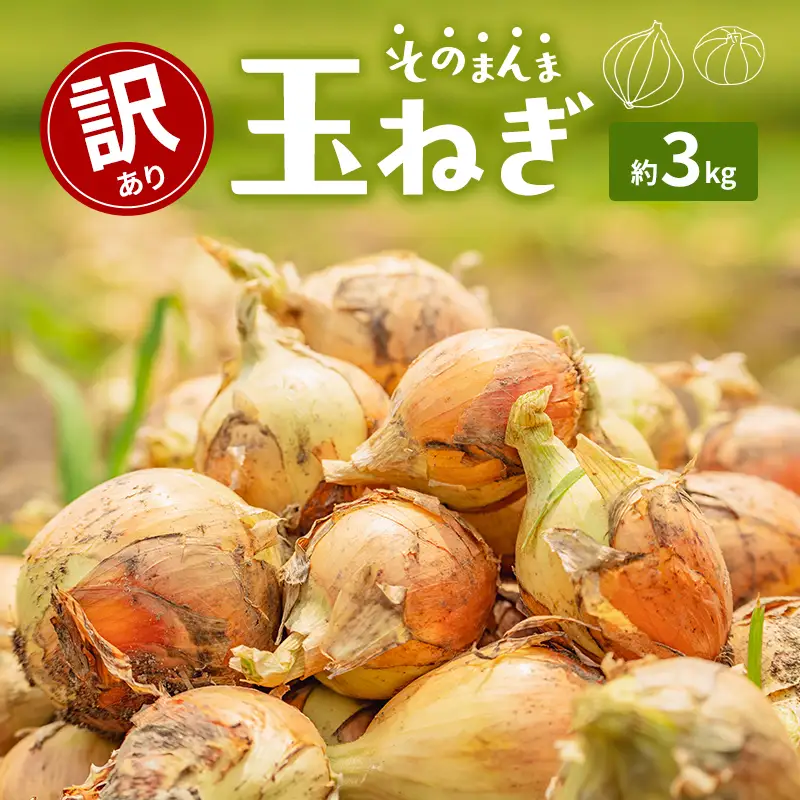 玉ねぎ 訳あり 香川県産 サイズ混合 玉ねぎ【約3kg】 【46312766】