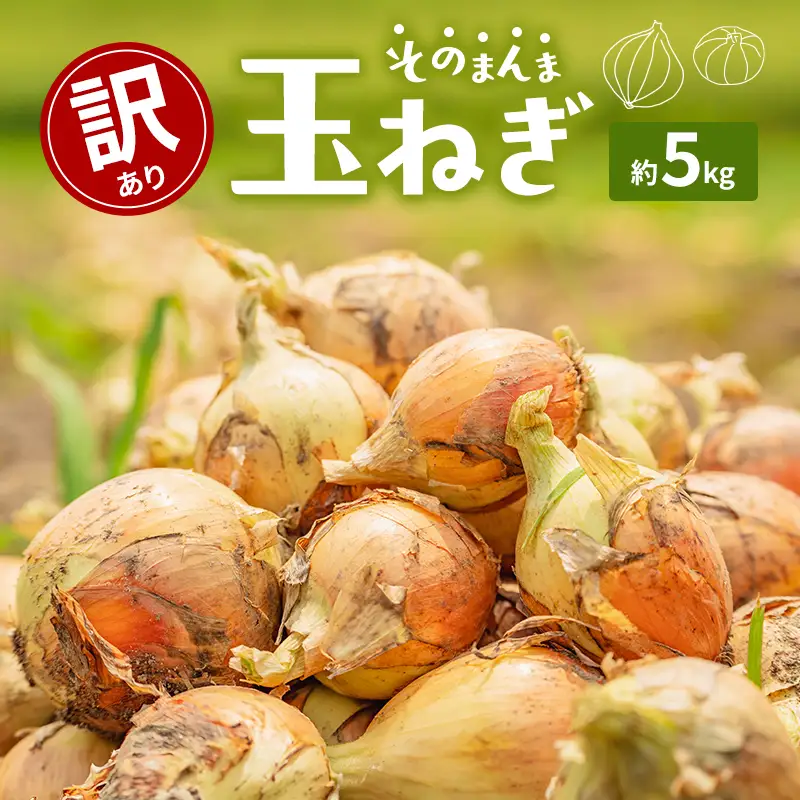 玉ねぎ 訳あり 香川県産 サイズ混合 玉ねぎ【約5kg】 【46312767】