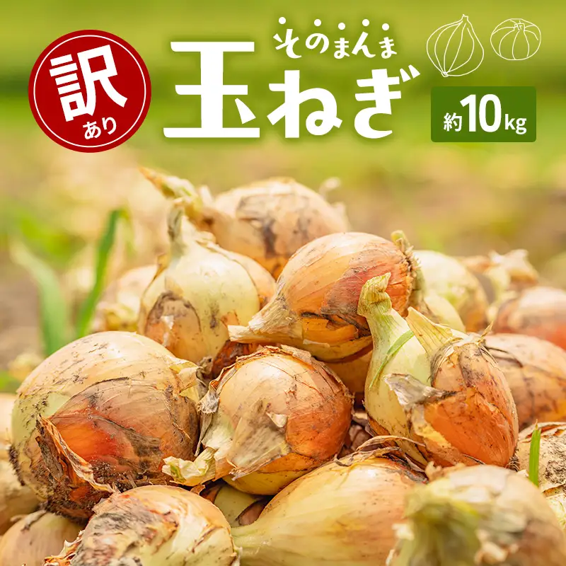 玉ねぎ 訳あり 香川県産 サイズ混合 玉ねぎ【約10kg 5kg×2箱】 【46312768】