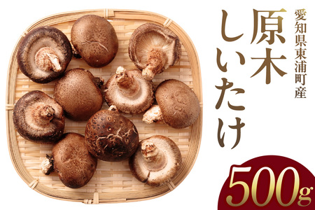 【先行予約：26年10月～発送】東浦町産 原木栽培生しいたけ（約500g）