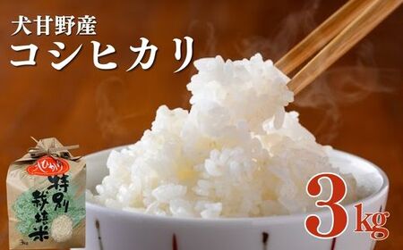 米 令和7年産 コシヒカリ 3kg 京都丹波 白米