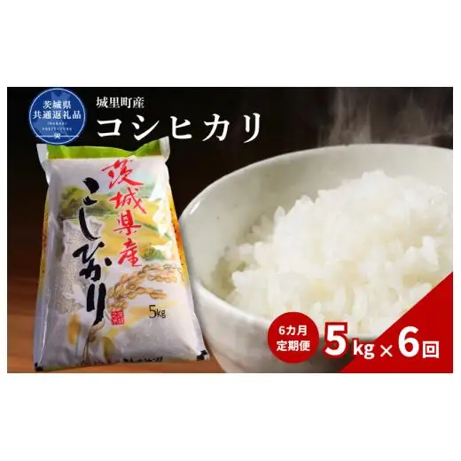 【6カ月定期便】コシヒカリ 5kg（茨城県共通返礼品・城里町産） / 米 こめ コメ お米 おこめ コシヒカリ こしひかり 白米 精米 ごはん ご飯 令和7年産 5kg 定期便 茨城県 城里町 利根町