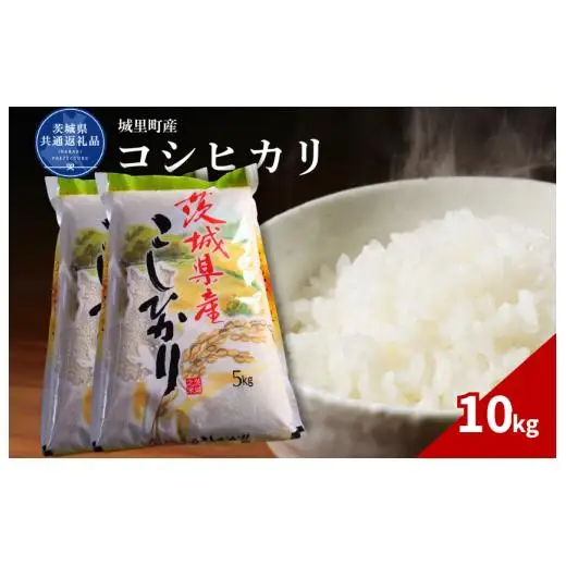 コシヒカリ 10kg（茨城県共通返礼品・城里町産） / 米 こめ コメ お米 おこめ コシヒカリ こしひかり 白米 精米 ごはん ご飯 令和7年産 10kg 茨城県 城里町 利根町