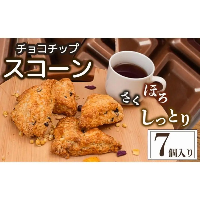 スコーン 7個 セット チョコチップ