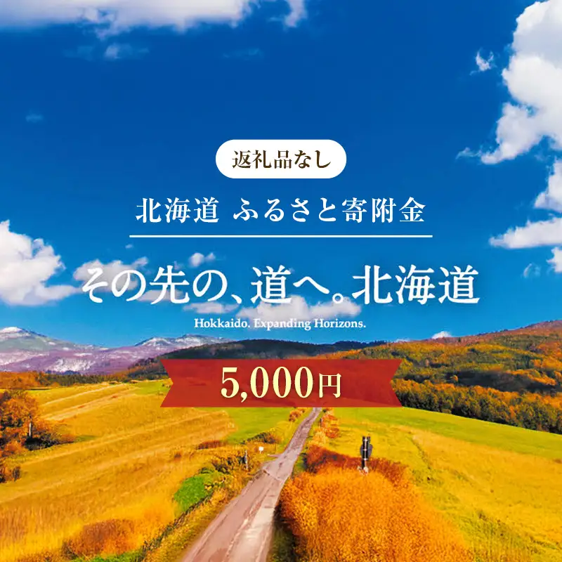 【ふるさと寄附金】北海道庁 5,000円 返礼品なしのご寄附 応援 エール 寄附のみ 返礼品なし 返礼品なしの寄附  F6S-686