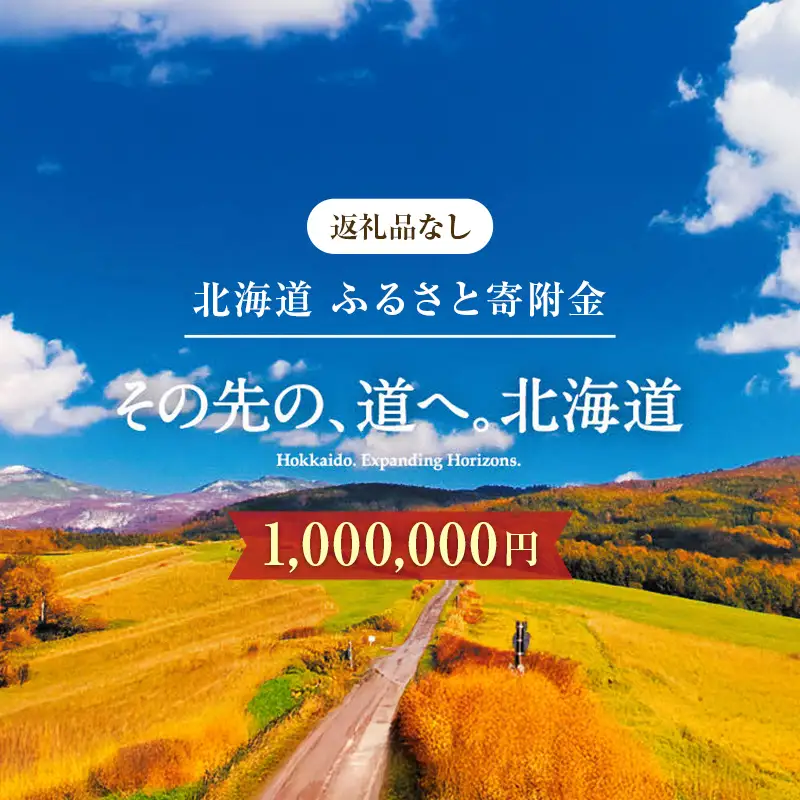 【ふるさと寄附金】北海道庁 1,000,000円 返礼品なしのご寄附 応援 エール 寄附のみ 返礼品なし 返礼品なしの寄附  F6S-685