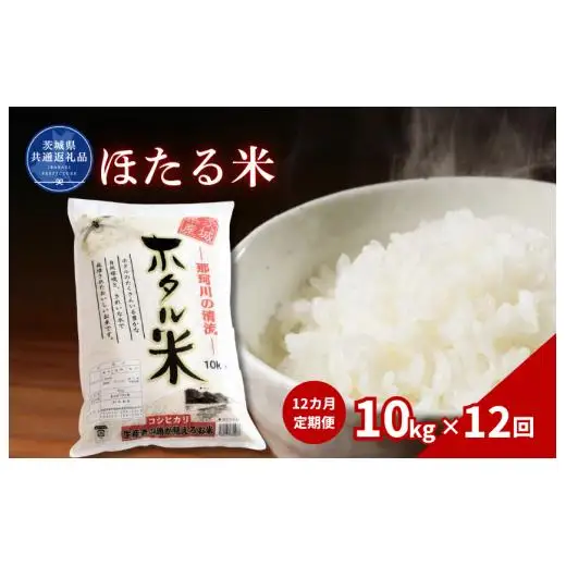 【12カ月定期便】ほたる米 10kg（茨城県共通返礼品・城里町産） / 米 こめ コメ お米 おこめ ほたる米 白米 精米 ごはん ご飯 令和7年産 10kg 定期便 茨城県 城里町 利根町