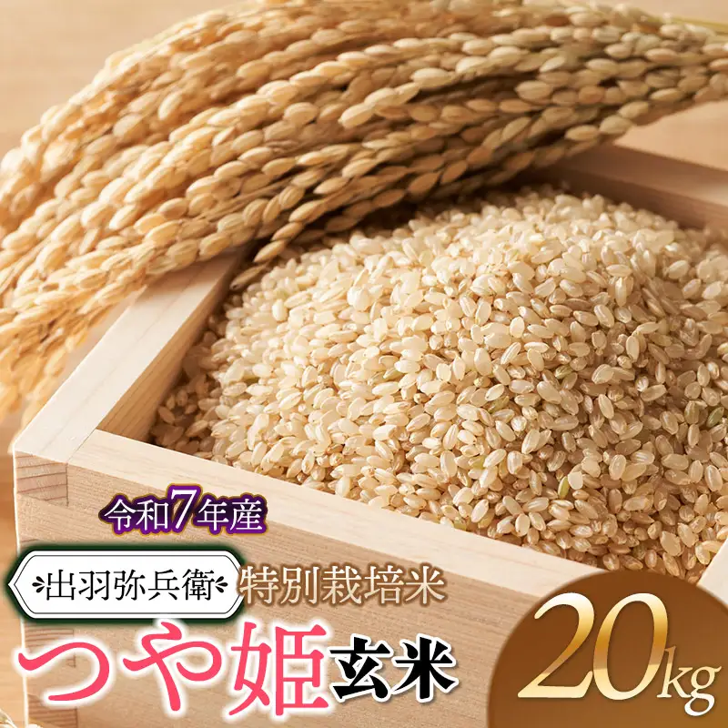 【令和7年産】特別栽培米 つや姫 【玄米】 20kg（5kg×4袋）　山形県鶴岡市産　出羽弥兵衛　| お米 米 コメ こめ ライス つやひめ 20キロ ご飯 ブランド米 国産 主食 お取り寄せ 返礼品