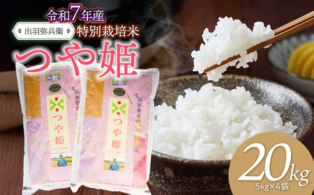 【令和7年産】特別栽培米 つや姫 【白米】 20kg（5kg×4袋）　山形県鶴岡市産　出羽弥兵衛　| お米 米 コメ こめ ライス つやひめ 20キロ 精米 ご飯 ブランド米 国産 主食 お取り寄せ 返礼品