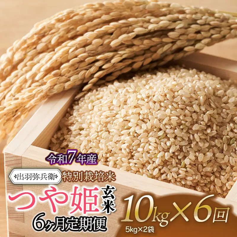 【令和7年産】【定期便6ヶ月】特別栽培米 つや姫 【玄米】 10kg（5kg×2袋）×6回　山形県鶴岡市産　出羽弥兵衛　| お米 米 コメ こめ ライス つやひめ 10キロ ご飯 ブランド米 国産 主食 お取り寄せ 返礼品